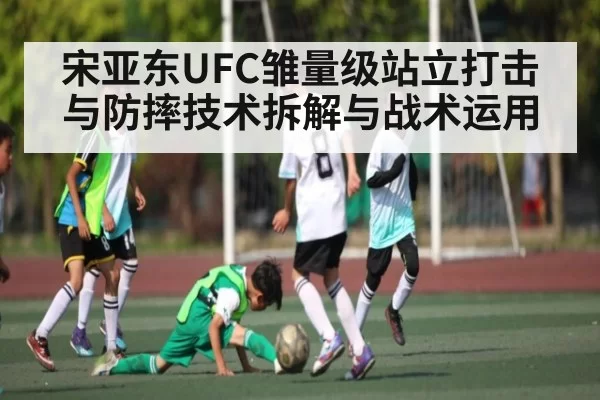 宋亚东UFC雏量级站立打击与防摔技术拆解与战术运用 | RayGaming
